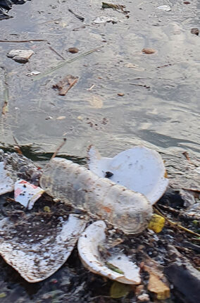 LOS MICROPLÁSTICOS: UN PROBLEMA EN CRECIMIENTO