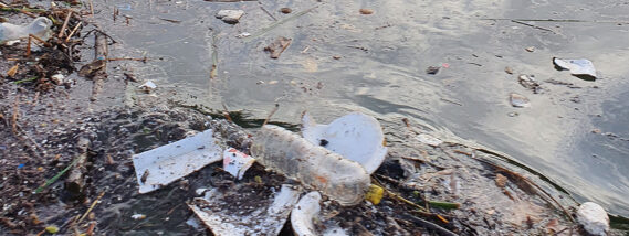 LOS MICROPLÁSTICOS: UN PROBLEMA EN CRECIMIENTO