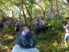 ESPECIES FORESTALES DE IMPORTANCIA CULTURAL DE BADIRAGUATO SINALOA