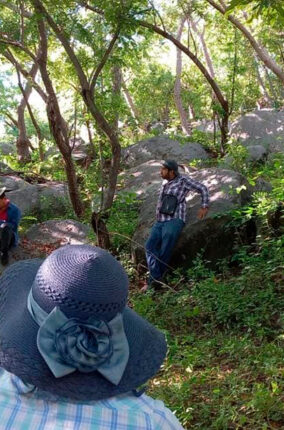 ESPECIES FORESTALES DE IMPORTANCIA CULTURAL DE BADIRAGUATO SINALOA