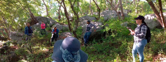 ESPECIES FORESTALES DE IMPORTANCIA CULTURAL DE BADIRAGUATO SINALOA