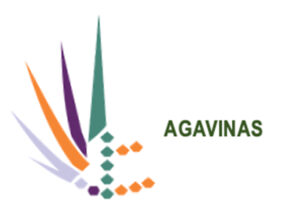 AGAVES CONTRA EL SOBREPESO