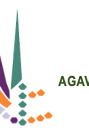 AGAVES CONTRA EL SOBREPESO