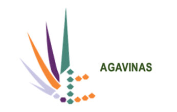 AGAVES CONTRA EL SOBREPESO