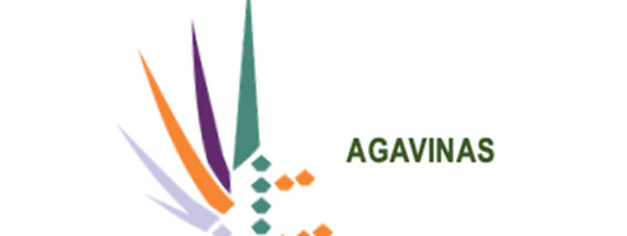 AGAVES CONTRA EL SOBREPESO