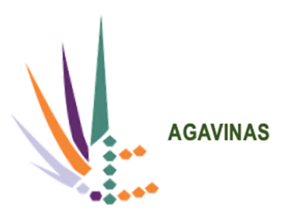 AGAVES CONTRA EL SOBREPESO