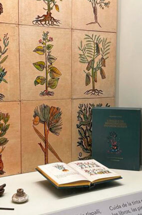 EL CÓDICE DE LA CRUZ-BADIANO. NUEVA EDICIÓN DE LA FACULTAD DE MEDICINA DE LA UNAM