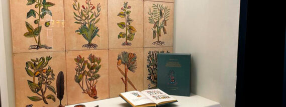 EL CÓDICE DE LA CRUZ-BADIANO. NUEVA EDICIÓN DE LA FACULTAD DE MEDICINA DE LA UNAM