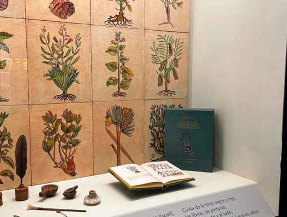 EL CÓDICE DE LA CRUZ-BADIANO. NUEVA EDICIÓN DE LA FACULTAD DE MEDICINA DE LA UNAM