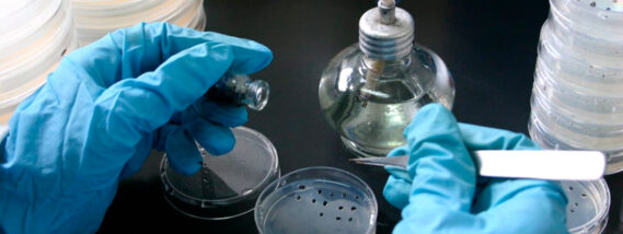 EL BANCO DE SEMILLAS FESI-UNAM