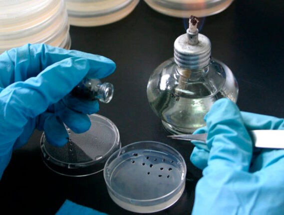 EL BANCO DE SEMILLAS FESI-UNAM