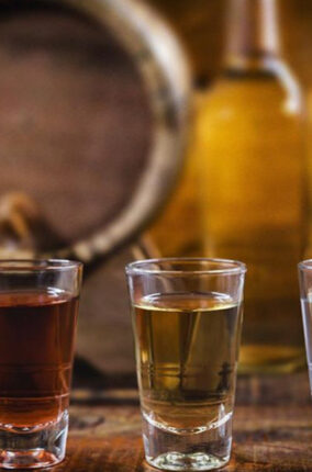 EL TEQUILA, UN REGALO PARA EL MUNDO