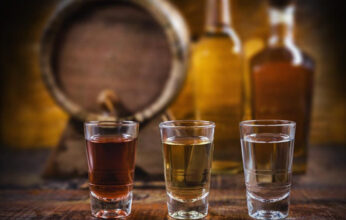 EL TEQUILA, UN REGALO PARA EL MUNDO