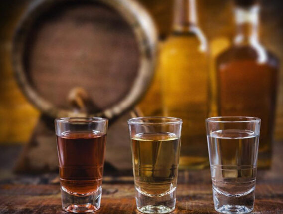 EL TEQUILA, UN REGALO PARA EL MUNDO