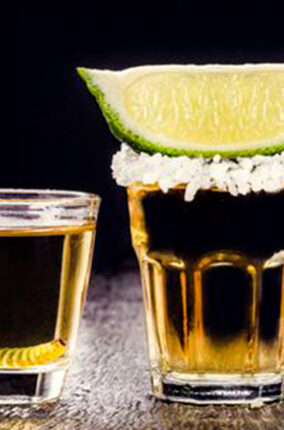 EL TEQUILA, UN REGALO PARA EL MUNDO PARTE 2