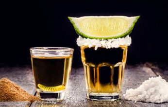 EL TEQUILA, UN REGALO PARA EL MUNDO PARTE 2
