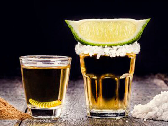 EL TEQUILA, UN REGALO PARA EL MUNDO PARTE 2