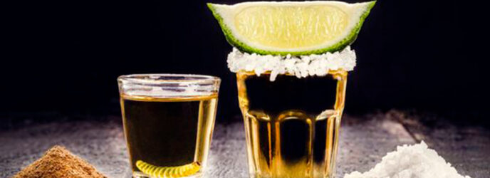 EL TEQUILA, UN REGALO PARA EL MUNDO PARTE 2