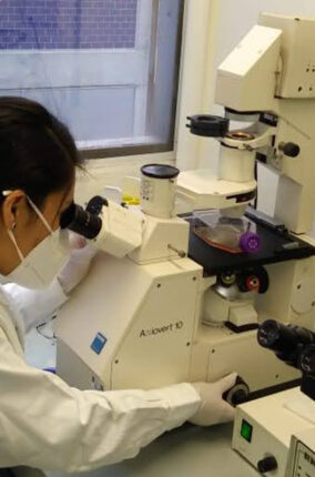 PLANTAS MEXICANAS CONTRA LA LEISHMANIASIS