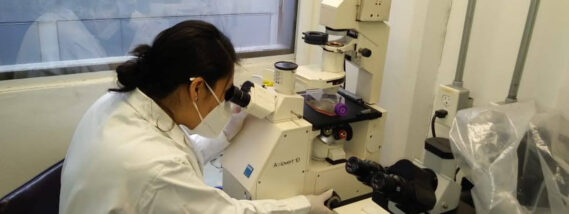 PLANTAS MEXICANAS CONTRA LA LEISHMANIASIS