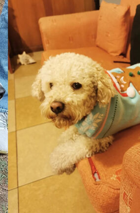 CUIDADOS DE NUESTROS PERROS Y GATOS EN ÉPOCA DE FRÍO