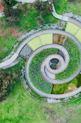 IMPORTANCIA AMBIENTAL DEL BOSQUE DE SAN JUAN ARAGON PARTE 2