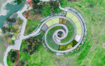 IMPORTANCIA AMBIENTAL DEL BOSQUE DE SAN JUAN ARAGON PARTE 2