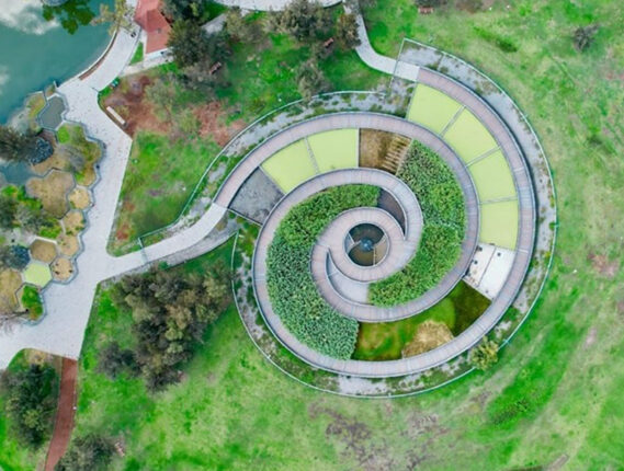 IMPORTANCIA AMBIENTAL DEL BOSQUE DE SAN JUAN ARAGON PARTE 2