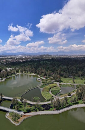 IMPORTANCIA AMBIENTAL DEL BOSQUE DE SAN JUAN ARAGON