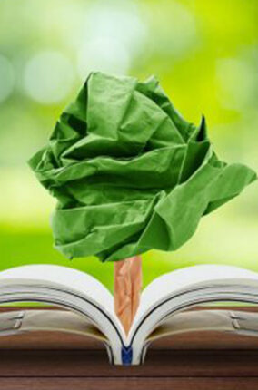 26 DE ENERO DÍA DE LA EDUCACIÓN AMBIENTAL