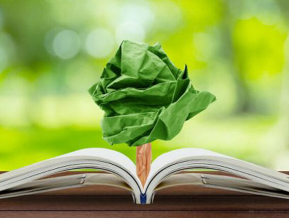 26 DE ENERO DÍA DE LA EDUCACIÓN AMBIENTAL