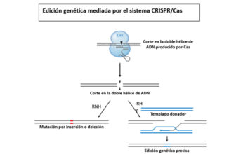 EDICIÓN DE GENES: LA NUEVA ESTRATEGIA TERAPÉUTICA PARA ENFERMEDADES INCURABLES