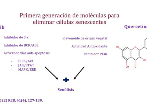 SENOLÍTICOS COMO TERAPIA ANTI-ENVEJECIMIENTO