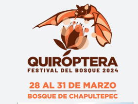 QUIRÓPTERA FESTIVAL DEL BOSQUE DE CHAPULTEPEC