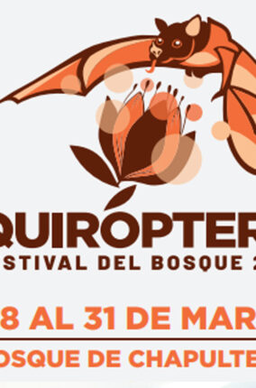 QUIRÓPTERA FESTIVAL DEL BOSQUE DE CHAPULTEPEC