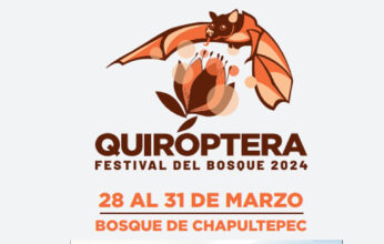 QUIRÓPTERA FESTIVAL DEL BOSQUE DE CHAPULTEPEC