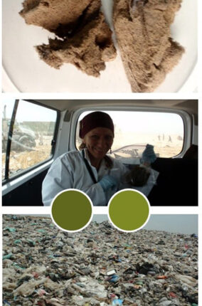 MICROORGANISMOS PARA LA BIODEGRADACIÓN DE PLÁSTICO