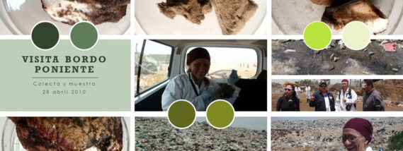 MICROORGANISMOS PARA LA BIODEGRADACIÓN DE PLÁSTICO