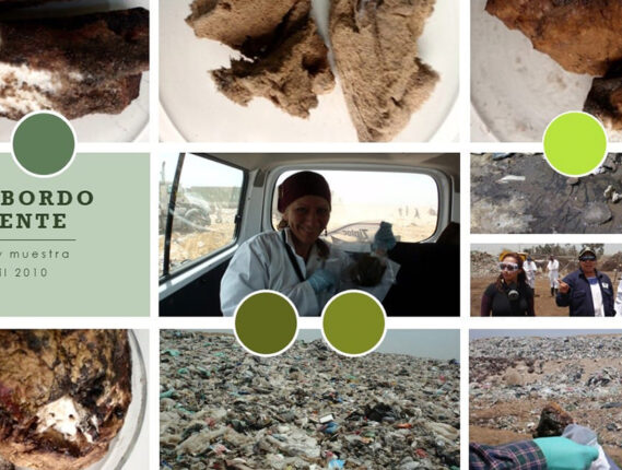 MICROORGANISMOS PARA LA BIODEGRADACIÓN DE PLÁSTICO