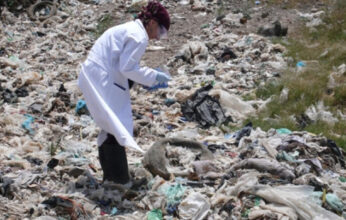 MICROORGANISMOS PARA LA BIODEGRADACIÓN DE PLÁSTICO PARTE 2