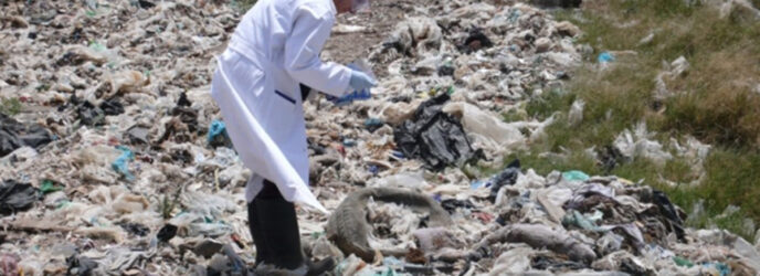 MICROORGANISMOS PARA LA BIODEGRADACIÓN DE PLÁSTICO PARTE 2