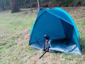 PROTOCOLO PARA EL MONITOREO POBLACIONAL DE LUCIÉRNAGAS
