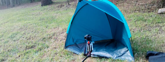 PROTOCOLO PARA EL MONITOREO POBLACIONAL DE LUCIÉRNAGAS