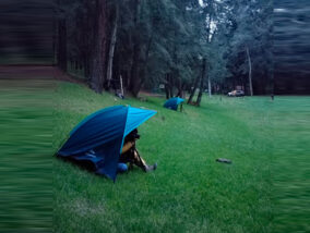 PROTOCOLO PARA EL MONITOREO POBLACIONAL DE LUCIÉRNAGAS PARTE 2