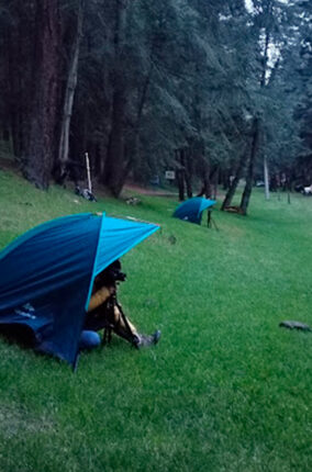 PROTOCOLO PARA EL MONITOREO POBLACIONAL DE LUCIÉRNAGAS PARTE 2