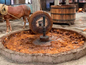 PARA TODO MAL, MEZCAL; PARA TODO BIEN, TAMBIÉN