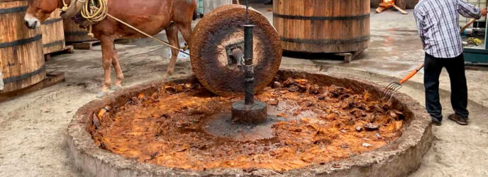 PARA TODO MAL, MEZCAL; PARA TODO BIEN, TAMBIÉN