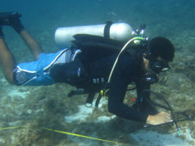 BUCEO CIENTIFICO