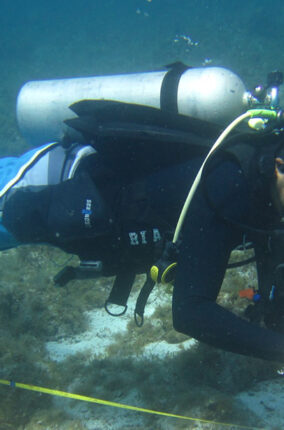 BUCEO CIENTIFICO