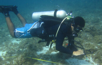 BUCEO CIENTIFICO